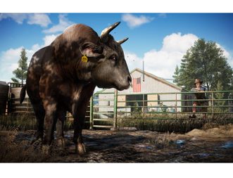 Far Cry 5 Полностью на русском включая ОБЛОЖКУ CUSA 05848 Видеоигра на диске PS4 / PS5