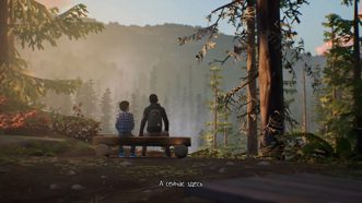 Life is Strange 2 Русские субтитры CUSA 17086 Видеоигра на диске PS4 / PS5