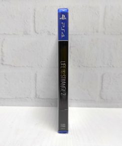 Life is Strange 2 Русские субтитры CUSA 17086 Видеоигра на диске PS4 / PS5