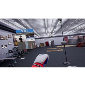 Creed Rise to Glory (требуется VR PS4) Английский язык CUSA 13482 Видеоигра на диске PS4