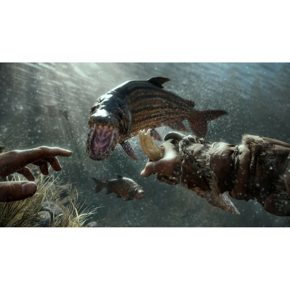 Far Cry Primal Полностью на русском CUSA 03310 Видеоигра на диске PS4 / PS5
