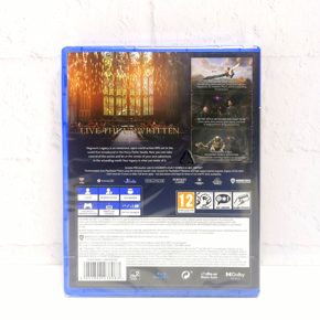 Hogwarts Legacy Русские субтитры CUSA 12771 Видеоигра на диске PS4 / PS5