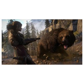 Rise of the Tomb Raider 20-летний юбилей Полностью на русском CUSA 05716 Видеоигра на диске PS4 / PS5