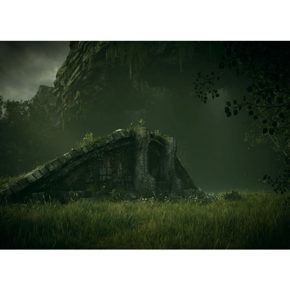 Shadow Of The Colossus Русские субтитры CUSA 08809 Видеоигра на диске PS4 / PS5