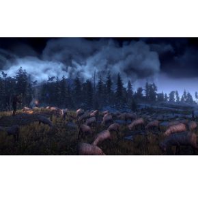 The Witcher Wild Hunt 3 GOTY Ведьмак 3 Дикая Охота Игра Года Русские субтитры CUSA 05571 Видеоигра на диске PS4 / PS5