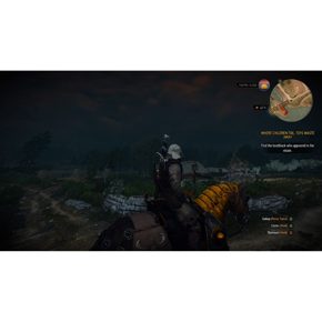 The Witcher 3 Wild Hunt Ведьмак 3 Дикая Охота Полностью на русском Видеоигра на картридже Nintendo Switch