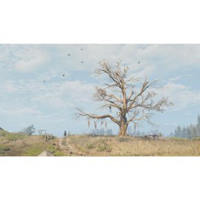 The Witcher 3 Wild Hunt Ведьмак 3 Дикая Охота Полностью на русском Видеоигра на картридже Nintendo Switch