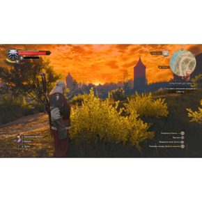 The Witcher 3 Wild Hunt Ведьмак 3 Дикая Охота Полностью на русском Видеоигра на картридже Nintendo Switch
