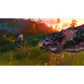 The Witcher 3 Wild Hunt Ведьмак 3 Дикая Охота Полностью на русском Видеоигра на картридже Nintendo Switch