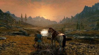 The Elder Scrolls 5 (V) Skyrim Полностью на русском Видеоигра на картридже Nintendo Switch