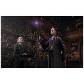 Hogwarts Legacy Русские субтитры Видеоигра на диске Xbox Series X